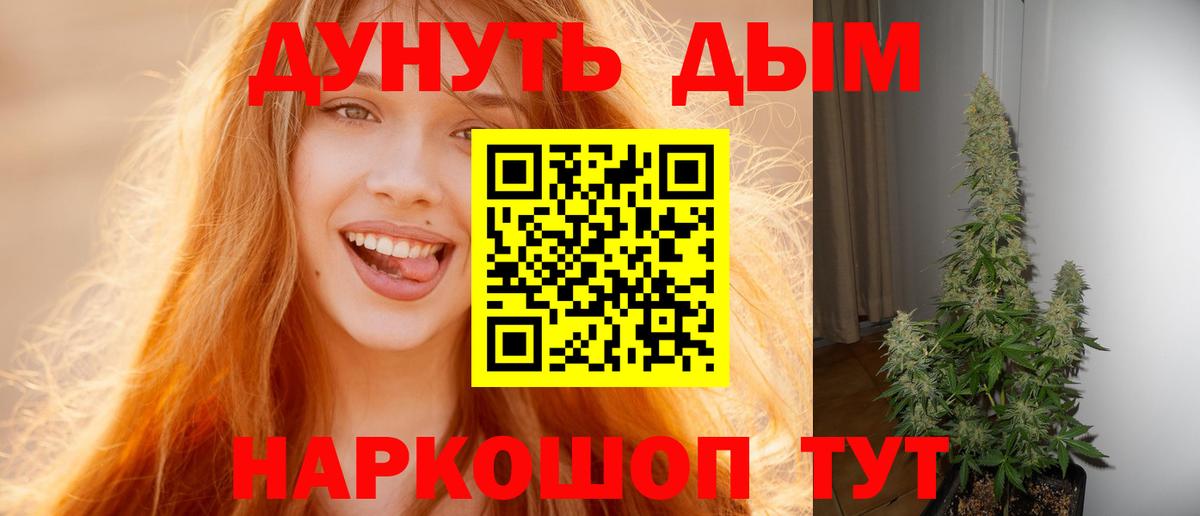 МАРИХУАНА семена  Канабис MAZAR  Котельники  Вход с VPN 